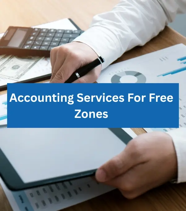 Accounting Services For Free Zones