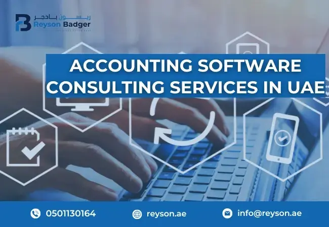 accounting-software-consulting-services-in-uae.webp