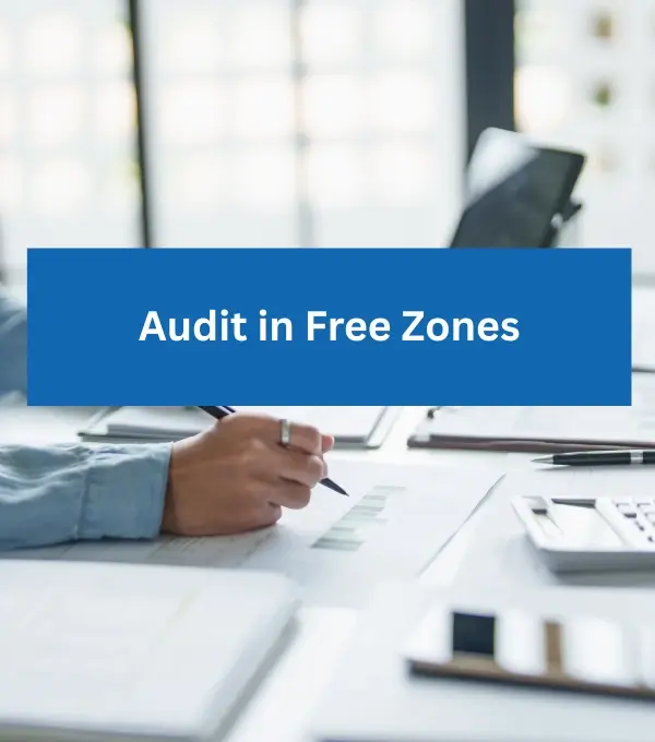 Audit in Free Zones