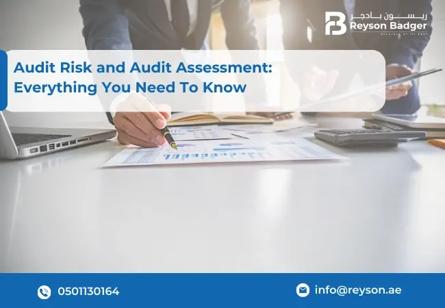 Audit Risk and Audit Assessment: Everything You Need To Know