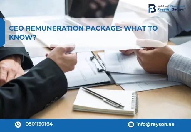 CEO Remuneration Package: What to Know?