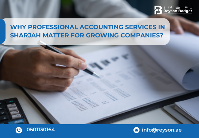 Regular Accounting Services