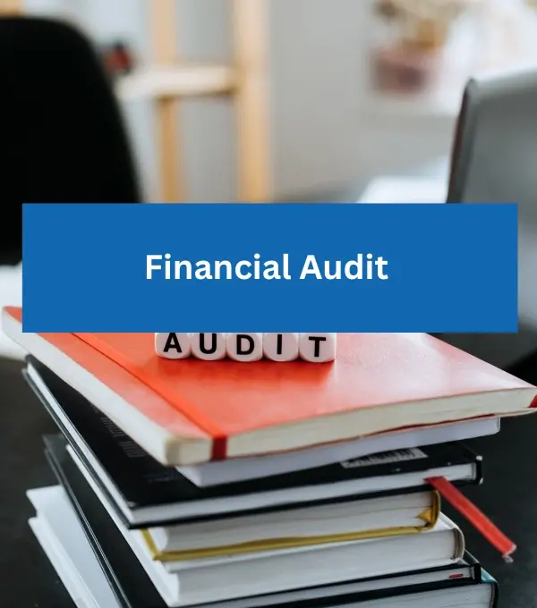 Financial Audit Services