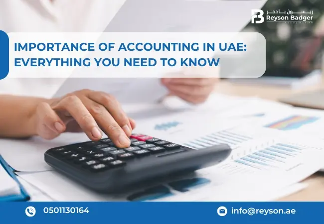 Importance Of Accounting in UAE: Everything You Need To Know