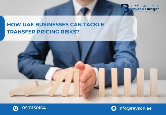 How UAE Businesses Can Tackle Transfer Pricing Risks?