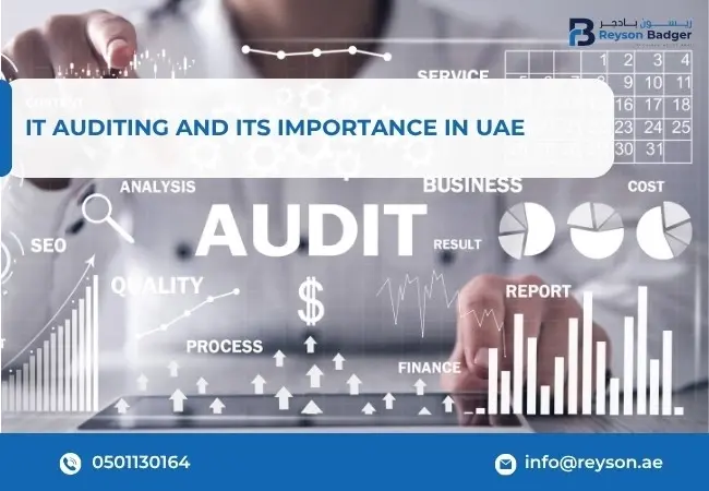 IT Auditing and Its Importance in UAE
