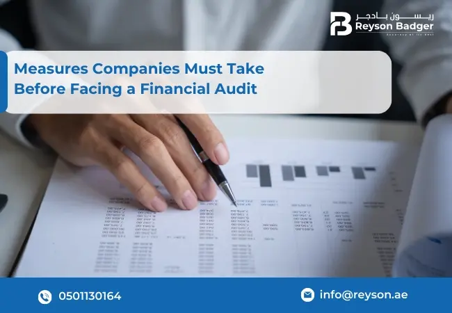 Measures Companies Must Take Before Facing a Financial Audit