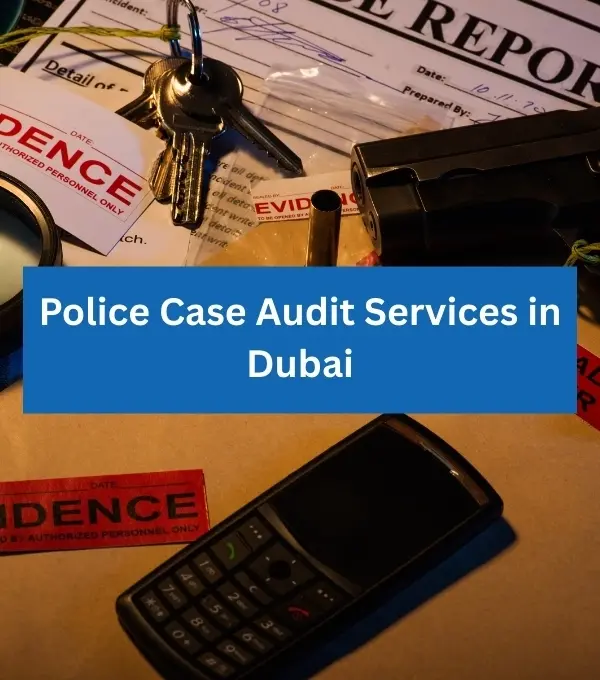 Police Case Audit Services in Dubai