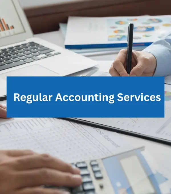 Regular Accounting Services