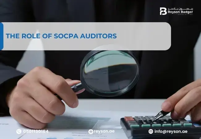 The Role of SOCPA Auditors