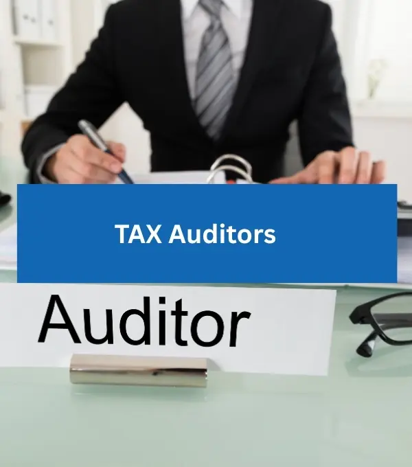 TAX Auditors in UAE