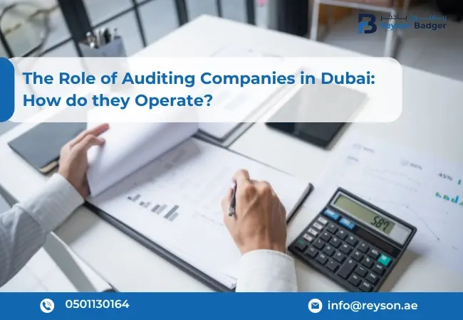 The Role of Auditing Companies in Dubai: How do they Operate?